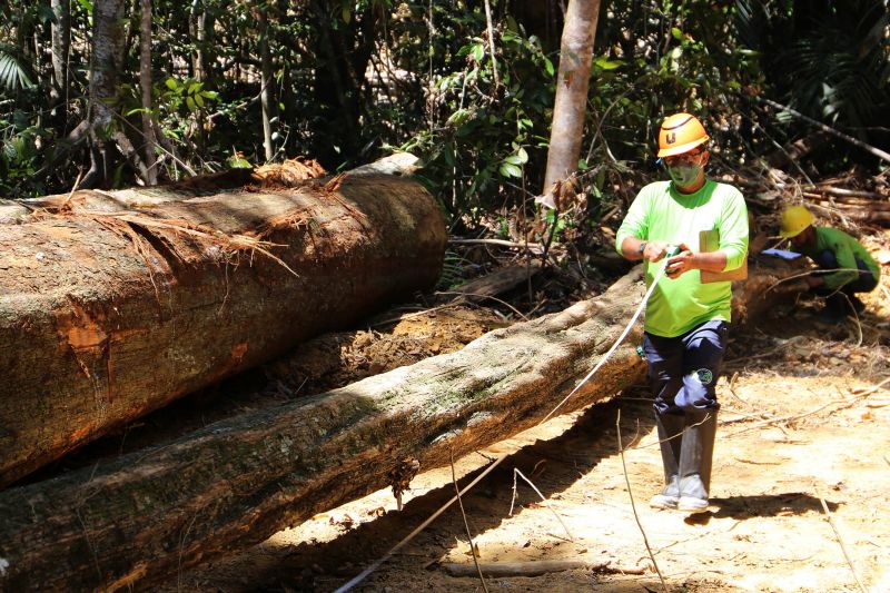  <div class='credito_fotos'>Foto: Bruno Cecim / Ag.Pará   |   <a href='/midias/2020/originais/6688_85d7645d-64d0-fd8f-ac49-d0a35d468eb0.jpg' download><i class='fa-solid fa-download'></i> Download</a></div>