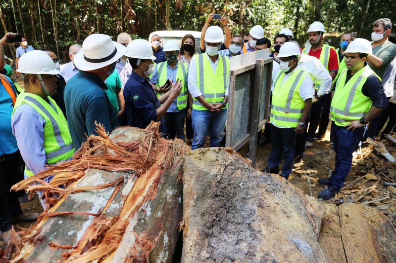  <div class='credito_fotos'>Foto: Bruno Cecim / Ag.Pará   |   <a href='/midias/2020/originais/6688_b63d36c9-1f61-50cb-1f57-4c94aedcd61b.jpg' download><i class='fa-solid fa-download'></i> Download</a></div>