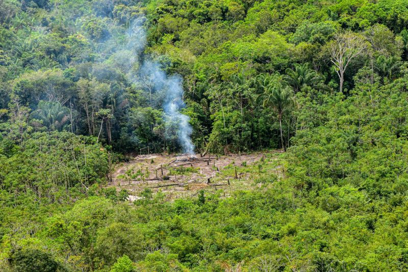 Polícia Civil destrói mais de 200 t de maconha durante operação Colheita Maldita II <div class='credito_fotos'>Foto: Leandro Santana / Ascom PCPA   |   <a href='/midias/2020/originais/6716_37ca7046-623b-0123-4747-dfc403d915be.jpg' download><i class='fa-solid fa-download'></i> Download</a></div>