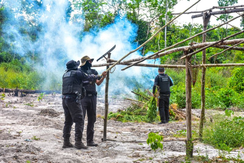 Polícia Civil destrói mais de 200 t de maconha durante operação Colheita Maldita II <div class='credito_fotos'>Foto: Leandro Santana / Ascom PCPA   |   <a href='/midias/2020/originais/6716_431db392-1be8-85b7-4d34-4e513e805725.jpg' download><i class='fa-solid fa-download'></i> Download</a></div>