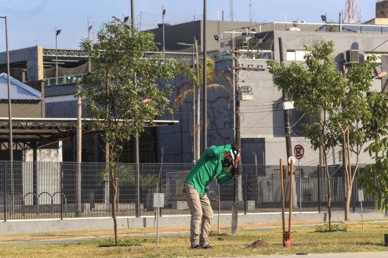 A primeira fase da intervenção paisagística no Parque Urbano Belém Porto Futuro foi iniciada neste sábado (22) com o plantio simbólico de 22 árvores. O ato teve a presença do governador Helder Barbalho; da secretária de Estado de Cultura, Ursula Vidal, e de representantes de entidades empresariais paraenses que contribuem com a arborização do espaço, aberto ao público  <div class='credito_fotos'>Foto: Jader Paes / Agência Pará   |   <a href='/midias/2020/originais/6743_10e02c7a-a961-5d10-2bd9-a12c0df6067e.jpg' download><i class='fa-solid fa-download'></i> Download</a></div>