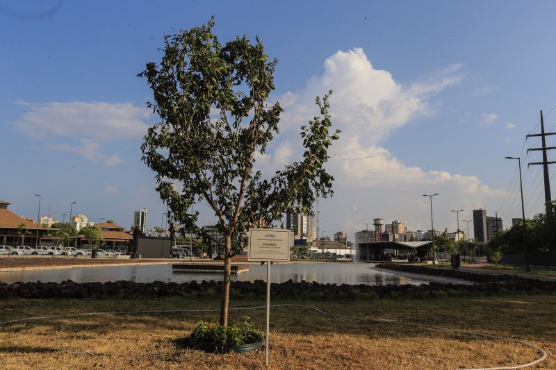 A primeira fase da intervenção paisagística no Parque Urbano Belém Porto Futuro foi iniciada neste sábado (22) com o plantio simbólico de 22 árvores. O ato teve a presença do governador Helder Barbalho; da secretária de Estado de Cultura, Ursula Vidal, e de representantes de entidades empresariais paraenses que contribuem com a arborização do espaço, aberto ao público  <div class='credito_fotos'>Foto: Jader Paes / Agência Pará   |   <a href='/midias/2020/originais/6743_2308cad0-596c-6094-ada1-08583666726a.jpg' download><i class='fa-solid fa-download'></i> Download</a></div>