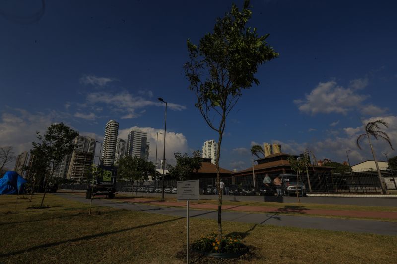 A primeira fase da intervenção paisagística no Parque Urbano Belém Porto Futuro foi iniciada neste sábado (22) com o plantio simbólico de 22 árvores. O ato teve a presença do governador Helder Barbalho; da secretária de Estado de Cultura, Ursula Vidal, e de representantes de entidades empresariais paraenses que contribuem com a arborização do espaço, aberto ao público  <div class='credito_fotos'>Foto: Jader Paes / Agência Pará   |   <a href='/midias/2020/originais/6743_2f9f8627-e585-fd24-2225-460323607ab1.jpg' download><i class='fa-solid fa-download'></i> Download</a></div>