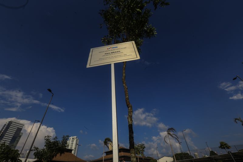 A primeira fase da intervenção paisagística no Parque Urbano Belém Porto Futuro foi iniciada neste sábado (22) com o plantio simbólico de 22 árvores. O ato teve a presença do governador Helder Barbalho; da secretária de Estado de Cultura, Ursula Vidal, e de representantes de entidades empresariais paraenses que contribuem com a arborização do espaço, aberto ao público  <div class='credito_fotos'>Foto: Jader Paes / Agência Pará   |   <a href='/midias/2020/originais/6743_9b2d6413-f3ed-f2ec-783b-e4dec7e11a19.jpg' download><i class='fa-solid fa-download'></i> Download</a></div>