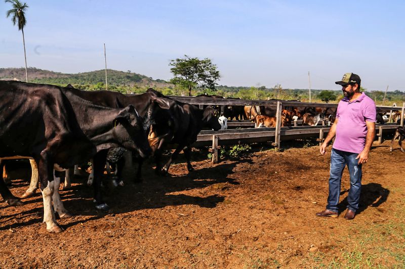  <div class='credito_fotos'>Foto: Bruno Cecim / Ag.Pará   |   <a href='/midias/2020/originais/6873_8e29ff18-8ca4-deb2-b26d-cb72bec33e4b.jpg' download><i class='fa-solid fa-download'></i> Download</a></div>