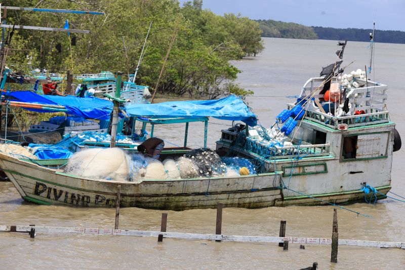  <div class='credito_fotos'>Foto: Marco Santos / Ag. Pará   |   <a href='/midias/2020/originais/6892_f515b692-0591-a661-3514-22b44bdbee55.jpg' download><i class='fa-solid fa-download'></i> Download</a></div>