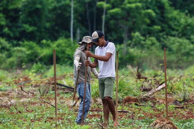  <div class='credito_fotos'>Foto: Alex Ribeiro / Ag. Pará   |   <a href='/midias/2020/originais/6948_1e3ef580-ee46-ef0a-7a21-43d94adfff49.jpg' download><i class='fa-solid fa-download'></i> Download</a></div>