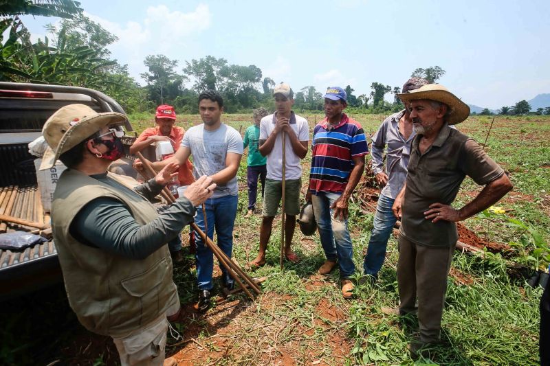  <div class='credito_fotos'>Foto: Alex Ribeiro / Ag. Pará   |   <a href='/midias/2020/originais/6948_2ded06e2-1359-ffda-ef6a-589cca78faaf.jpg' download><i class='fa-solid fa-download'></i> Download</a></div>