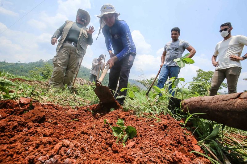  <div class='credito_fotos'>Foto: Alex Ribeiro / Ag. Pará   |   <a href='/midias/2020/originais/6948_3dd32d4d-37d5-3181-4dc3-480a1f3b392f.jpg' download><i class='fa-solid fa-download'></i> Download</a></div>