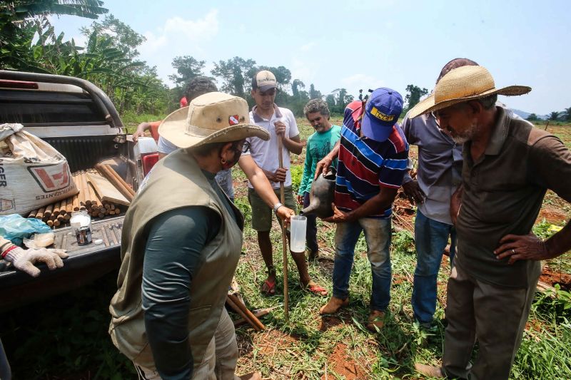  <div class='credito_fotos'>Foto: Alex Ribeiro / Ag. Pará   |   <a href='/midias/2020/originais/6948_47220824-34ba-d645-35ff-59af5aee9407.jpg' download><i class='fa-solid fa-download'></i> Download</a></div>