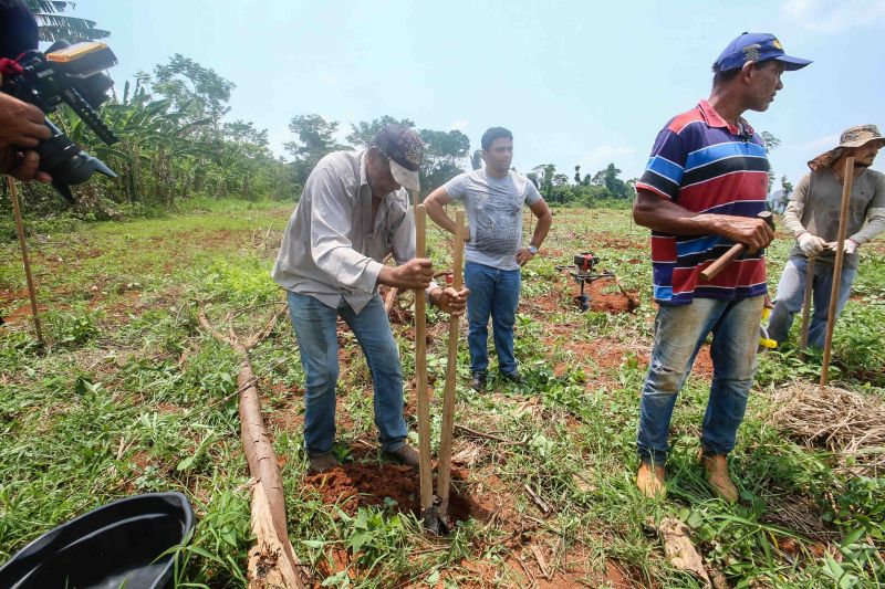  <div class='credito_fotos'>Foto: Alex Ribeiro / Ag. Pará   |   <a href='/midias/2020/originais/6948_99942f95-25ad-6f15-72ef-25bd759924d6.jpg' download><i class='fa-solid fa-download'></i> Download</a></div>