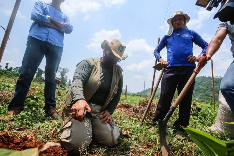  <div class='credito_fotos'>Foto: Alex Ribeiro / Ag. Pará   |   <a href='/midias/2020/originais/6948_ddd10d01-d16a-76ff-0068-c171c3a89797.jpg' download><i class='fa-solid fa-download'></i> Download</a></div>