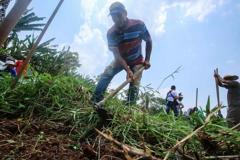  <div class='credito_fotos'>Foto: Alex Ribeiro / Ag. Pará   |   <a href='/midias/2020/originais/6948_ef71dc87-5f0e-0fa8-9282-d43ea56c2dfd.jpg' download><i class='fa-solid fa-download'></i> Download</a></div>