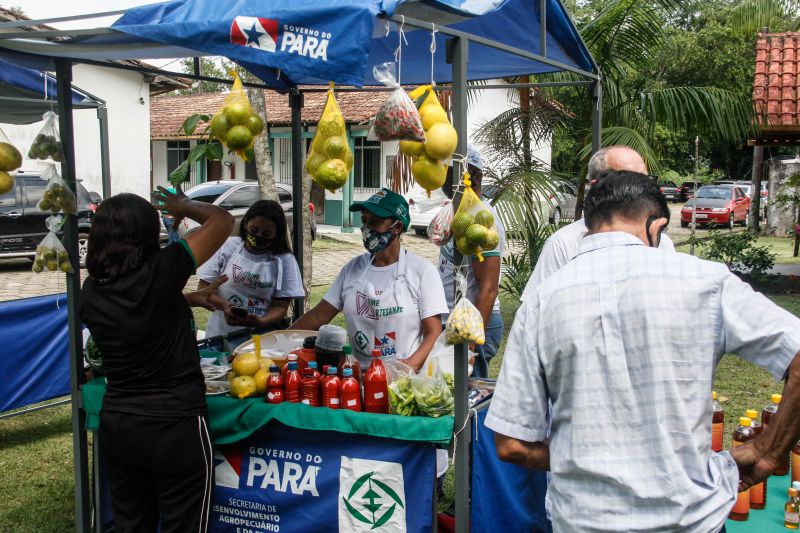  <div class='credito_fotos'>Foto: Marcelo Seabra / Ag. Pará   |   <a href='/midias/2020/originais/6974_6ddee4ce-6668-5d69-ba44-9ba3b4b7ea0a.jpg' download><i class='fa-solid fa-download'></i> Download</a></div>