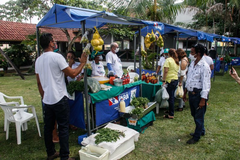  <div class='credito_fotos'>Foto: Marcelo Seabra / Ag. Pará   |   <a href='/midias/2020/originais/6974_8dd80a33-22aa-1528-d609-3a30813e252e.jpg' download><i class='fa-solid fa-download'></i> Download</a></div>