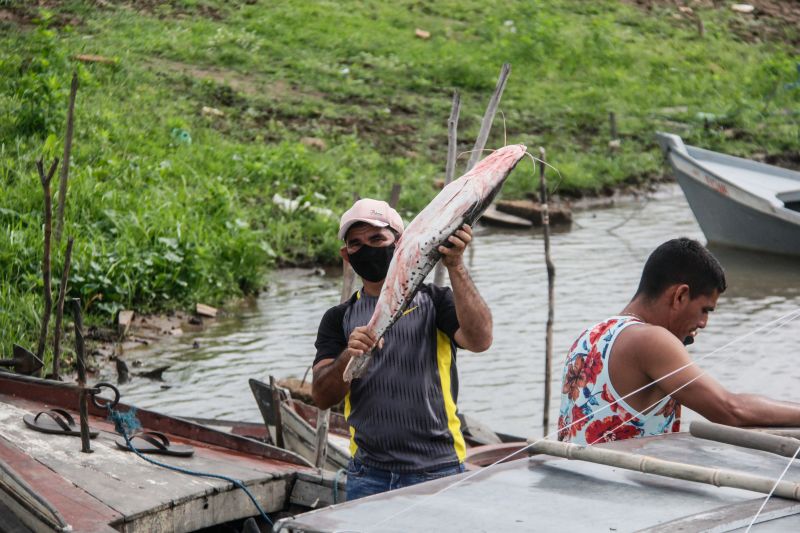  <div class='credito_fotos'>Foto: Marcelo Seabra / Ag. Pará   |   <a href='/midias/2020/originais/7013_6e159b55-dcc4-65e6-2674-2ab4ee42ec10.jpg' download><i class='fa-solid fa-download'></i> Download</a></div>