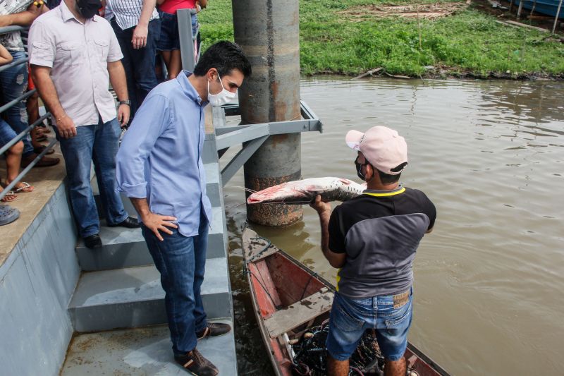  <div class='credito_fotos'>Foto: Marcelo Seabra / Ag. Pará   |   <a href='/midias/2020/originais/7013_a3e93621-4efa-6d51-8146-c65de5df2a46.jpg' download><i class='fa-solid fa-download'></i> Download</a></div>