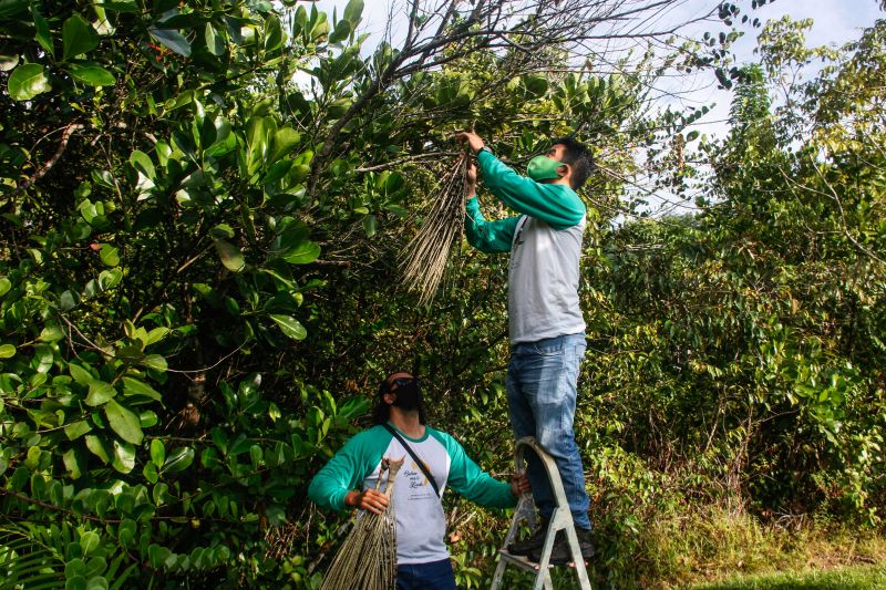  <div class='credito_fotos'>Foto: Marcelo Seabra / Ag. Pará   |   <a href='/midias/2020/originais/7107_17e38886-7e87-2e36-49d9-d6f8928ddda4.jpg' download><i class='fa-solid fa-download'></i> Download</a></div>