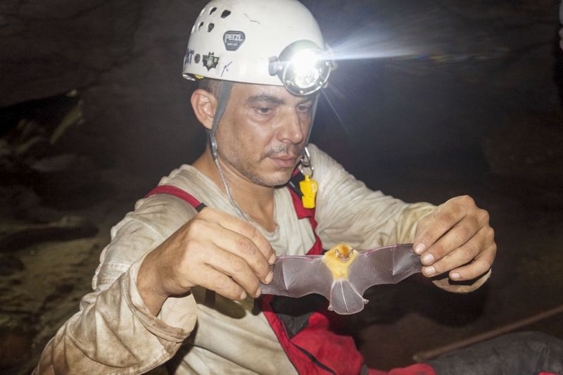 Araguaia possuem um rico Patrimônio Espeleológico, representado por mais de 475 cavernas, com destaque para a Caverna Serra das Andorinhas <div class='credito_fotos'>Foto: ASCOM / IDEFLOR-BIO   |   <a href='/midias/2020/originais/7153_6a55c990-40ba-30f5-e2cb-178cd684ac1c.jpg' download><i class='fa-solid fa-download'></i> Download</a></div>