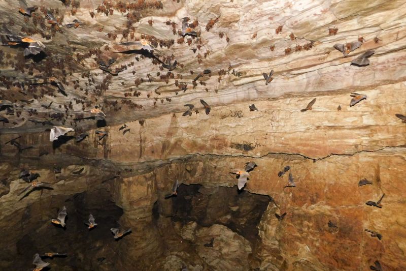 Araguaia possuem um rico Patrimônio Espeleológico, representado por mais de 475 cavernas, com destaque para a Caverna Serra das Andorinhas <div class='credito_fotos'>Foto: ASCOM / IDEFLOR-BIO   |   <a href='/midias/2020/originais/7153_8079d460-8e5d-22de-01df-54afc85a814f.jpg' download><i class='fa-solid fa-download'></i> Download</a></div>