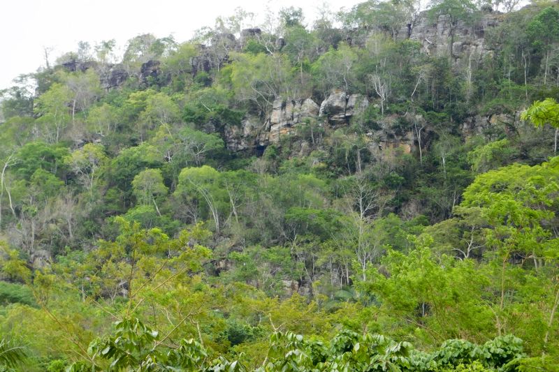 Araguaia possuem um rico Patrimônio Espeleológico, representado por mais de 475 cavernas, com destaque para a Caverna Serra das Andorinhas <div class='credito_fotos'>Foto: ASCOM / IDEFLOR-BIO   |   <a href='/midias/2020/originais/7153_8f6f8da1-bf1c-a97f-81b4-60e8faea1af4.jpg' download><i class='fa-solid fa-download'></i> Download</a></div>