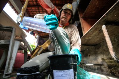 notícia: Pará registra queda de 17,36% no número de casos de dengue