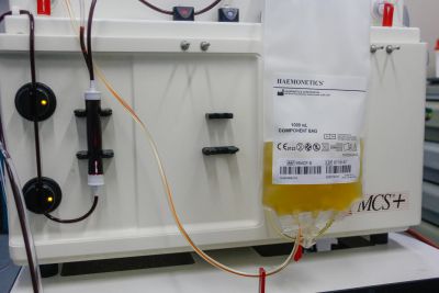 notícia: Hemopa Santarém destina bolsas de plasma a pacientes de Covid-19 