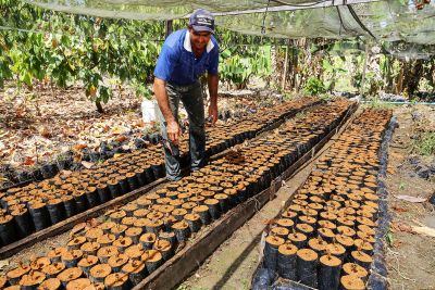 notícia: Governo do Estado garante apoio a Cooperativas de Agricultura em todo o Pará