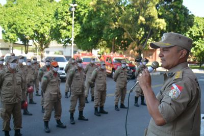 galeria: Operação Fênix - Bombeiros