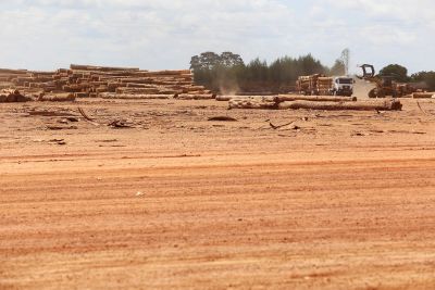 notícia: Tecnologia permite criar novas estratégias para combater o desmatamento no Pará 