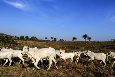 galeria: Territórios Sustentáveis faz sensibilização de produtores rurais em Água Azul do Norte