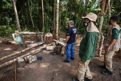 notícia: Governo do Pará aumenta rigor na fiscalização ambiental