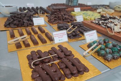 notícia: Escola Indústria do Chocolate fortalece produção cacaueira em Igarapé-Miri