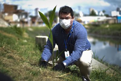 galeria: Sedop planta mudas de açaizeiro nas margens do canal do Tucunduba