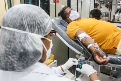 notícia: Hemopa reforça a importância das doações de sangue no período de final de ano