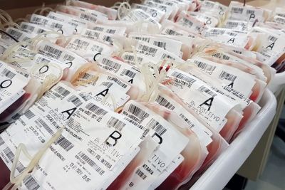 notícia: Cerca de 30% do sangue coletado no Hemopa favorece pacientes com câncer