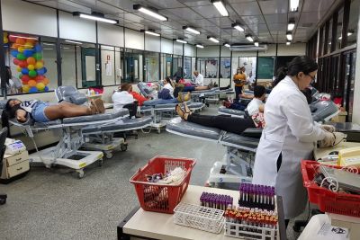 notícia: Média de doação feminina de sangue no Pará já ultrapassa meta brasileira