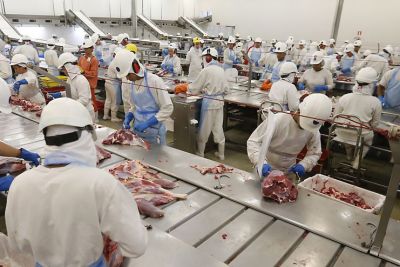 notícia: Indústria: Pará produziu 31,723 milhões de quilos de produtos avícolas em 2019