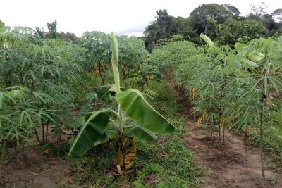 notícia: Mais de 100 agricultores de Concórdia recebem o Cadastro Ambiental Rural