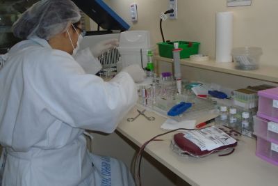 notícia: Referência em oncologia, 'Ophir Loyola' registra alta demanda por transfusão