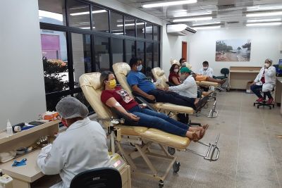 notícia: Hemopa coleta mais de 400 bolsas de sangue em Belém e no interior