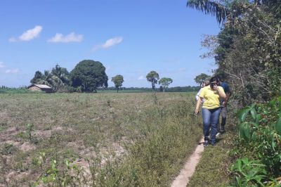 notícia: Emater elabora projetos e beneficia produtores de mandioca de Tracuateua