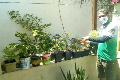 notícia: Hortas domésticas em Portel combatem estresse, melhoram economia e alimentação familiar