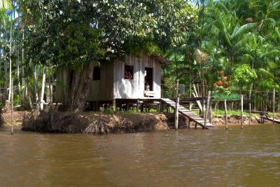 notícia: Pará institui Plano Estadual Amazônia Agora para desenvolvimento socioambiental e diminuição de desmatamento