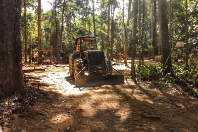 notícia: PM apreende mais de 100 metros cúbicos de madeira ilegal em Santarém