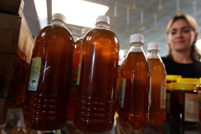 notícia: Adepará inspeciona produção de mel e alerta sobre uso indevido