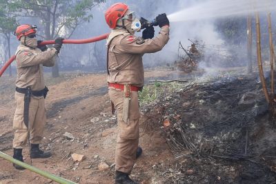 notícia: Bombeiros e Defesa Civil mantêm ações de combate aos incêndios florestais no Pará