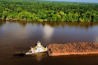 notícia: Operação Netuno apreende madeira e amplia comunicação entre as bases no Marajó