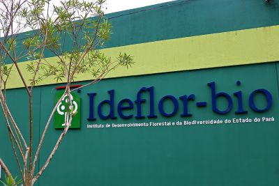 notícia: Ideflor-Bio abre inscrições para processo seletivo simplificado