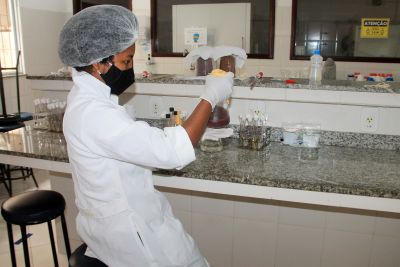 notícia: Projeto da Uepa, em Cametá, busca prevenção à doença de Chagas no consumo de açaí